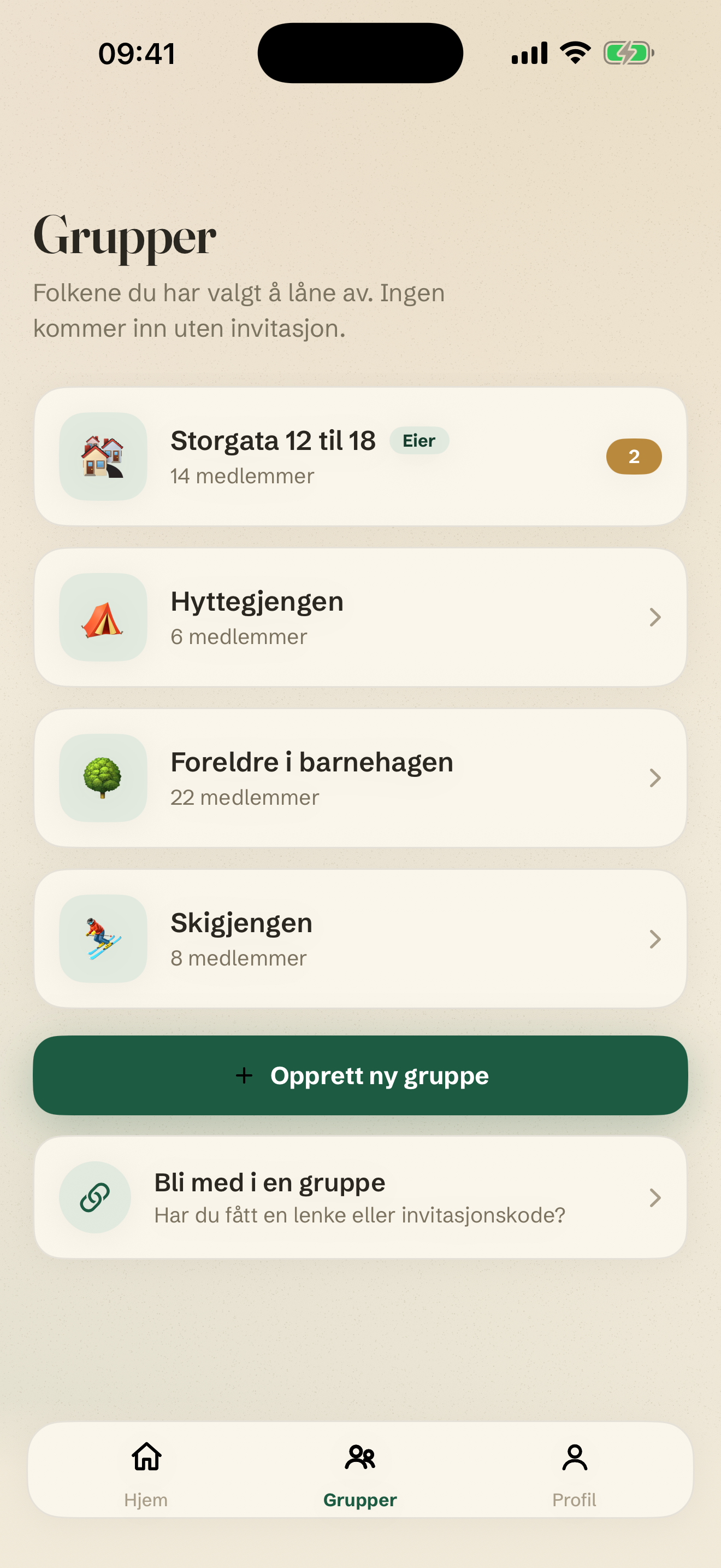 Dine lånegrupper